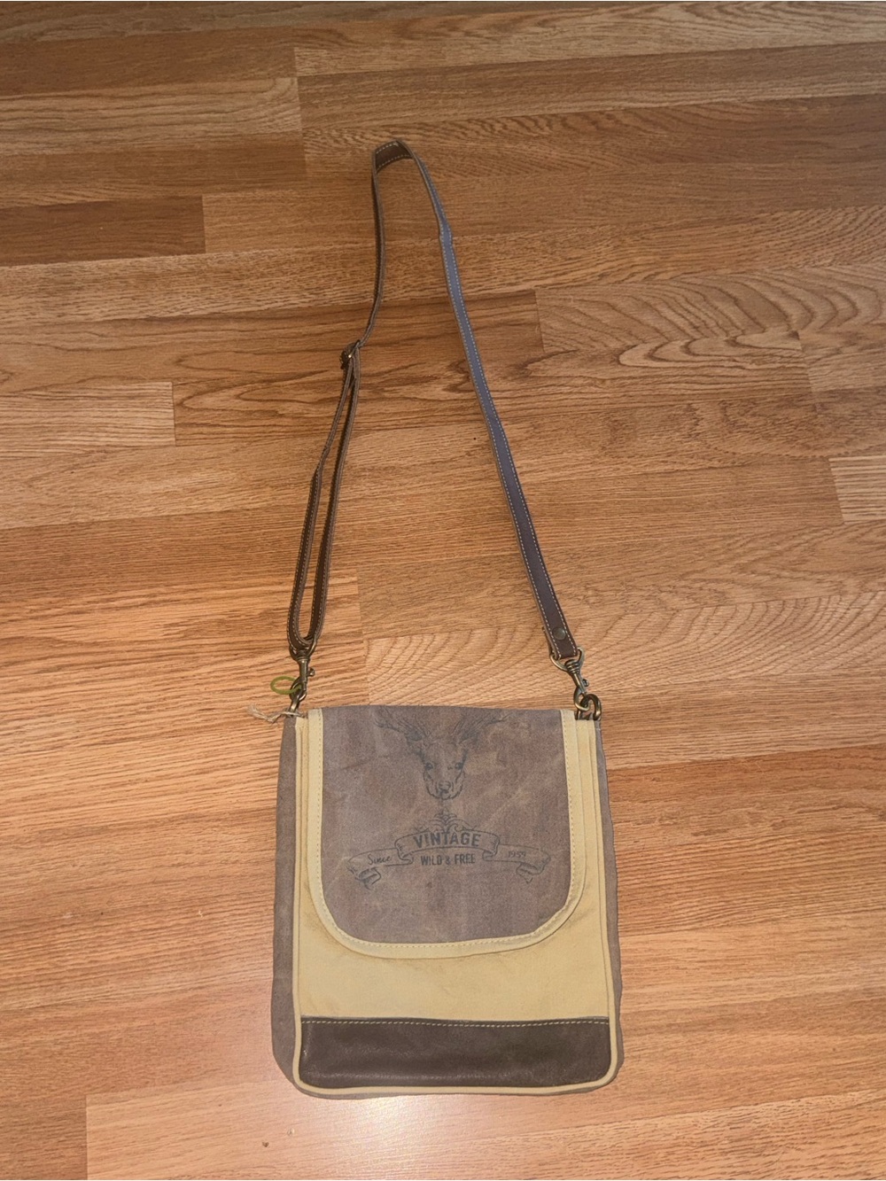 Vintage Wild Free Beige & Brown Crossbody Bag by